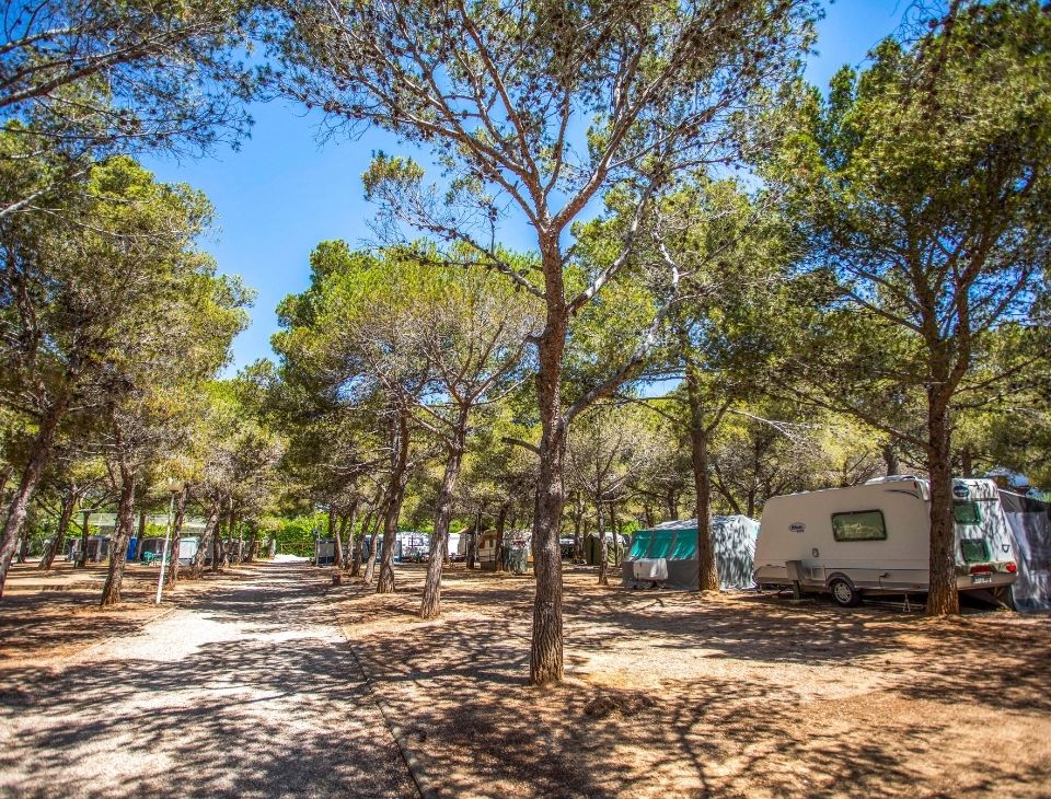Parcelas de acampada Camping Francàs